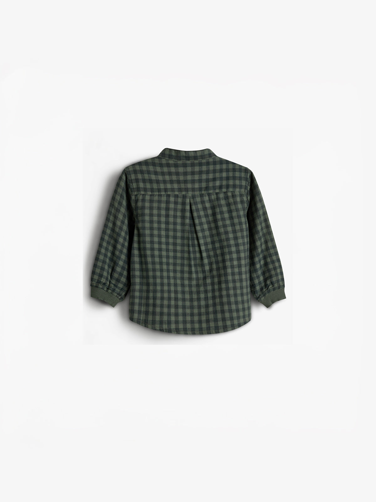 Micro Gingham Cotton Shirt - Little - Green