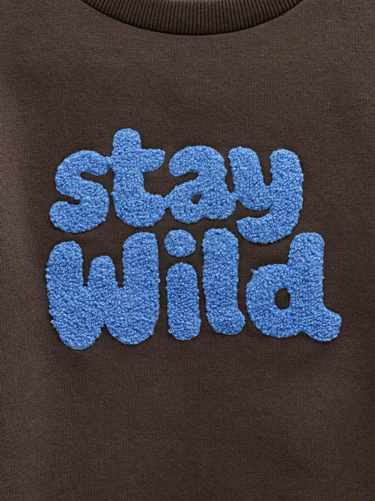 Front Print Crew Neck Sweatshirt - Tween - Dark Brown | 101623 Joel