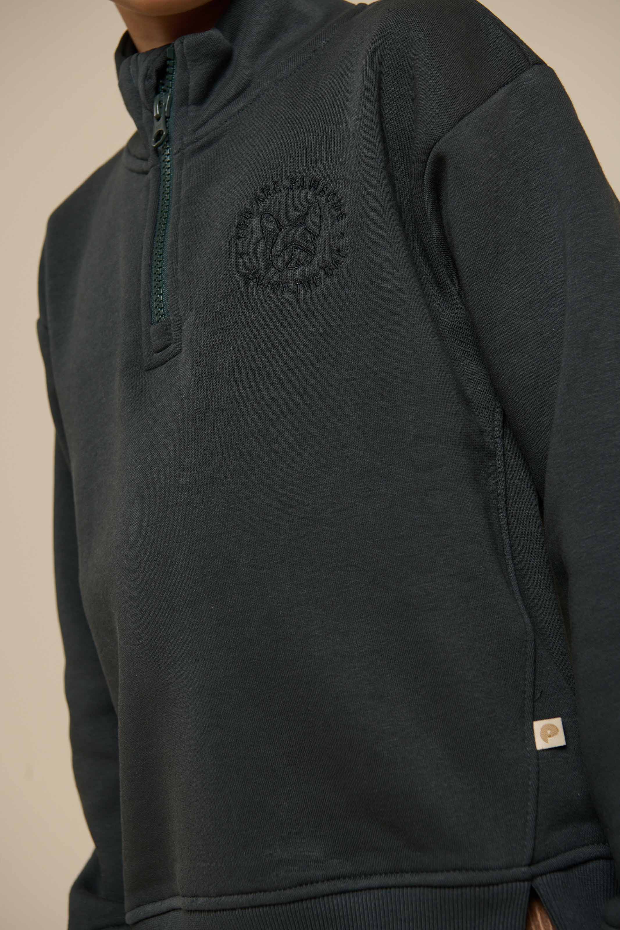 Half Zip Sweatshirt - Tween - Forest Green | 100811 Tristan